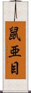 鼠亜目 Scroll
