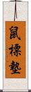 鼠標墊 Scroll