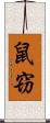 鼠窃 Scroll