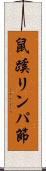 鼠蹊リンパ節 Scroll