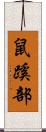鼠蹊部 Scroll