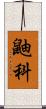 鼬科 Scroll