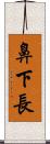 鼻下長 Scroll