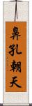 鼻孔朝天 Scroll