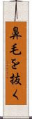 鼻毛を抜く Scroll