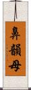 鼻韻母 Scroll