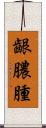 齦膿腫 Scroll