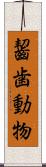 齧歯動物 Scroll