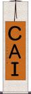 ＣＡＩ Scroll