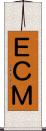ＥＣＭ Scroll