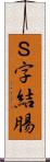 Ｓ字結腸 Scroll
