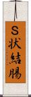 Ｓ状結腸 Scroll