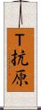 Ｔ抗原 Scroll