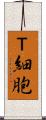 Ｔ細胞 Scroll