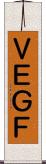 ＶＥＧＦ Scroll