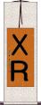 ＸＲ Scroll