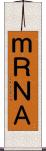 ｍＲＮＡ Scroll