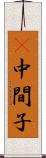 Π中間子 Scroll