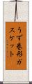 うず巻形ガスケット Scroll