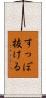 すっぽ抜ける Scroll