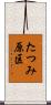 たつみ原区 Scroll