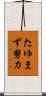 たゆまず努力 Scroll