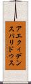 アエクィデンスパリドゥス Scroll