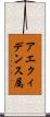 アエクィデンス属 Scroll