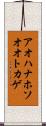 アオハナホソオオトカゲ Scroll