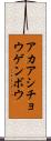 アカアシチョウゲンボウ Scroll