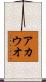アカウオ Scroll