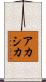 アカシカ Scroll