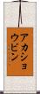 アカショウビン Scroll