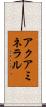 アクアミネラル Scroll
