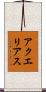 アクエリアス Scroll