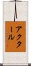 Akhtar Scroll