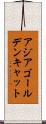 アジアゴールデンキャット Scroll