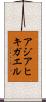 アジアヒキガエル Scroll