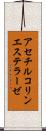 アセチルコリンエステラーゼ Scroll