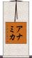 Anamika Scroll
