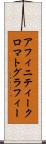 アフィニティークロマトグラフィー Scroll