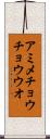 アミメチョウチョウウオ Scroll