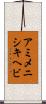 アミメニシキヘビ Scroll