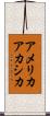 アメリカアカシカ Scroll