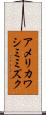 アメリカワシミミズク Scroll