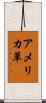 アメリカ草 Scroll