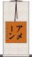 Amane Scroll