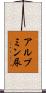 アルブミン尿 Scroll