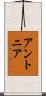 Antonia Scroll