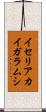 イセリアカイガラムシ Scroll